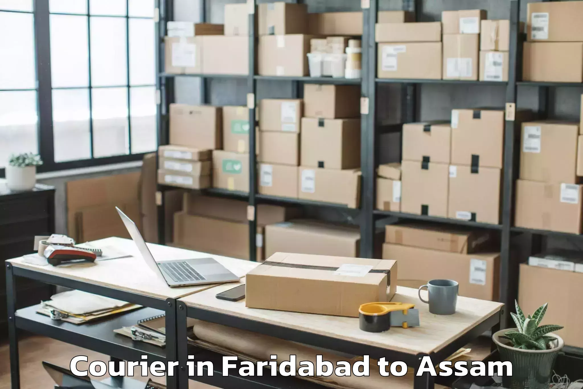 Easy Faridabad to Kalaigaon Courier Booking